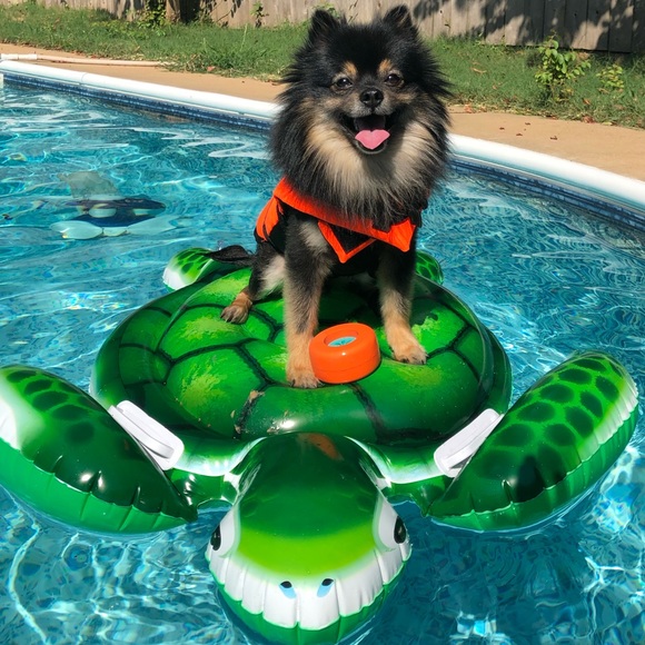 Meet your Posher, Donna - Picture 2 of 7